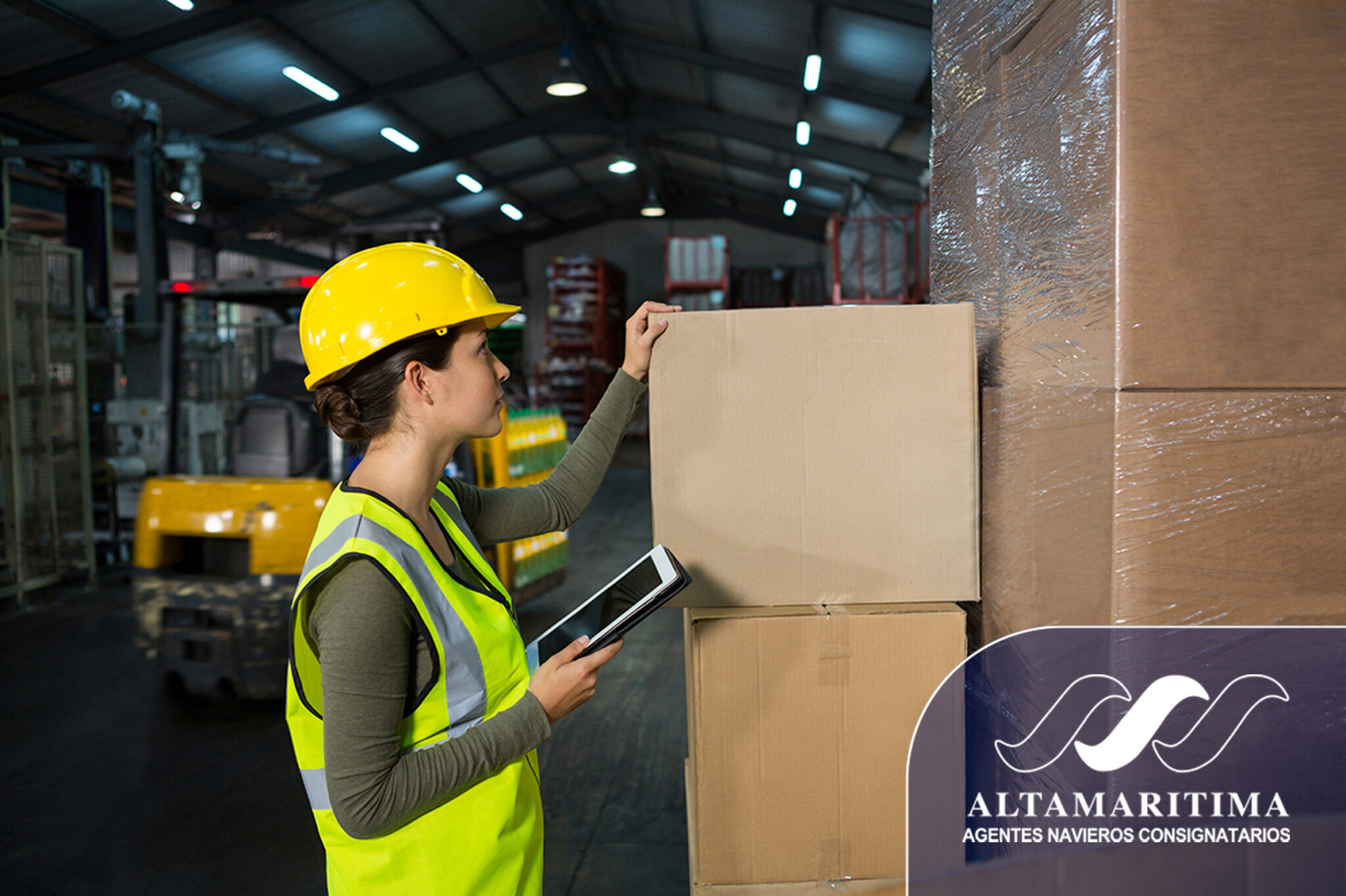 Picking y Packing en el sector logístico (Infografía)