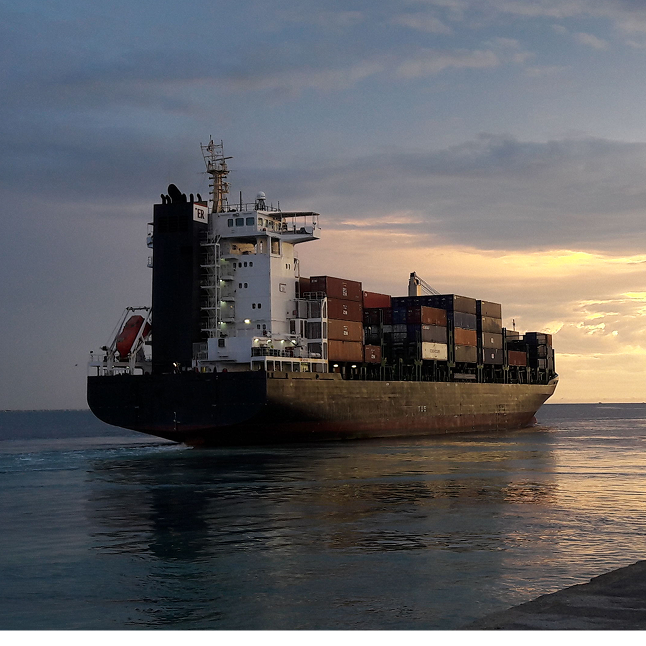 Transporte Carga Proyecto
